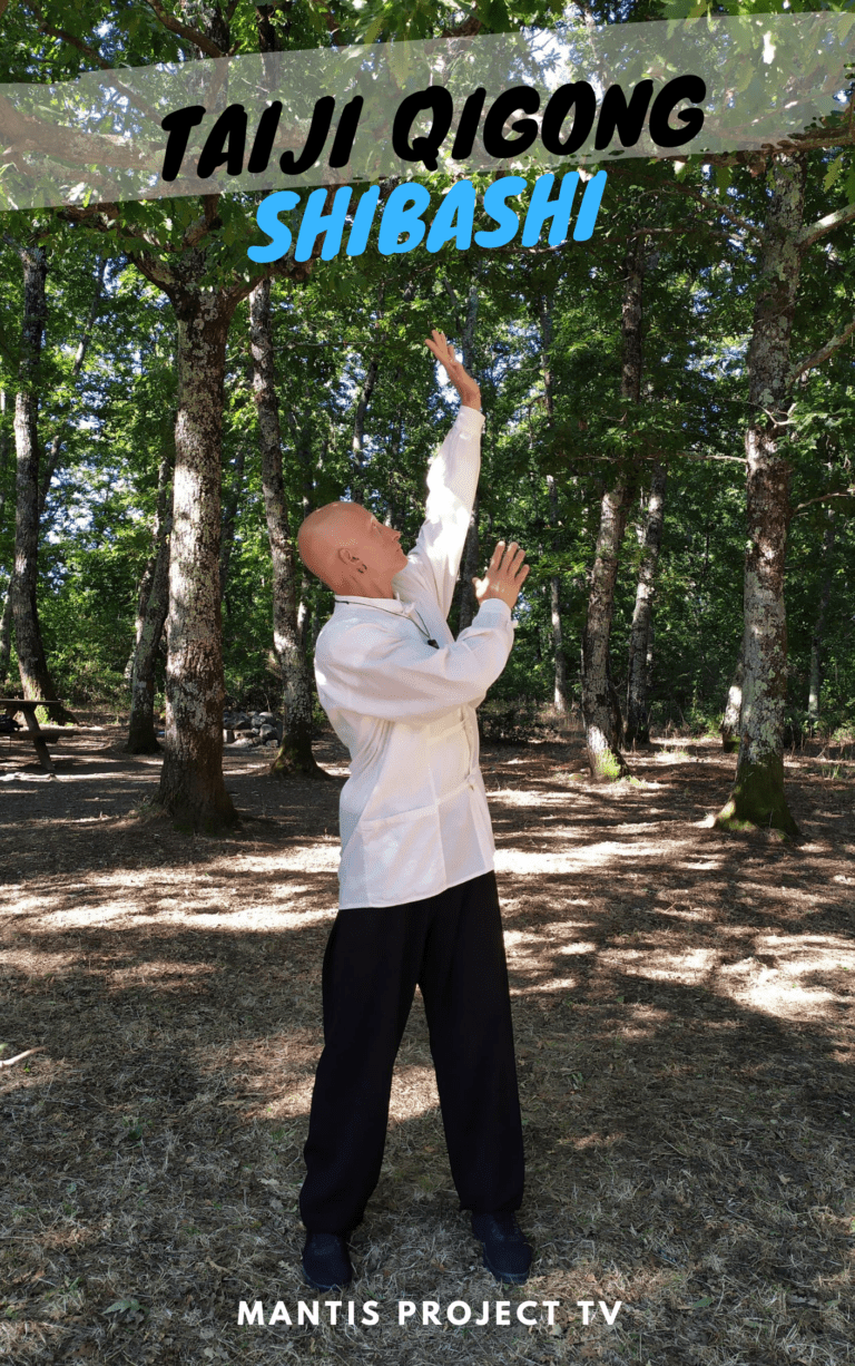 Impara Taiji Qi Gong Shibashi